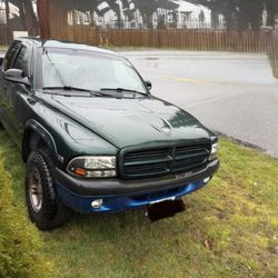 2000 Rum Dodge Dakota 