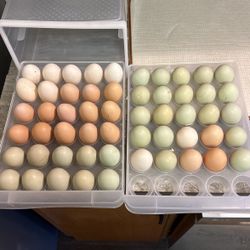 Farm Fresh Eggs