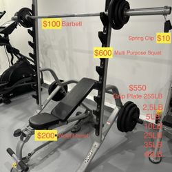 Gym Workout Equipment