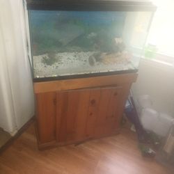 Fish Tank And Stand 25 Gallon Tank 