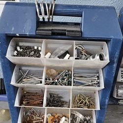 Organizer & Contents