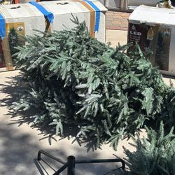 Free: 9 Foot Christmas Tree