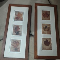 Leaf Pictures $10.00 obo 