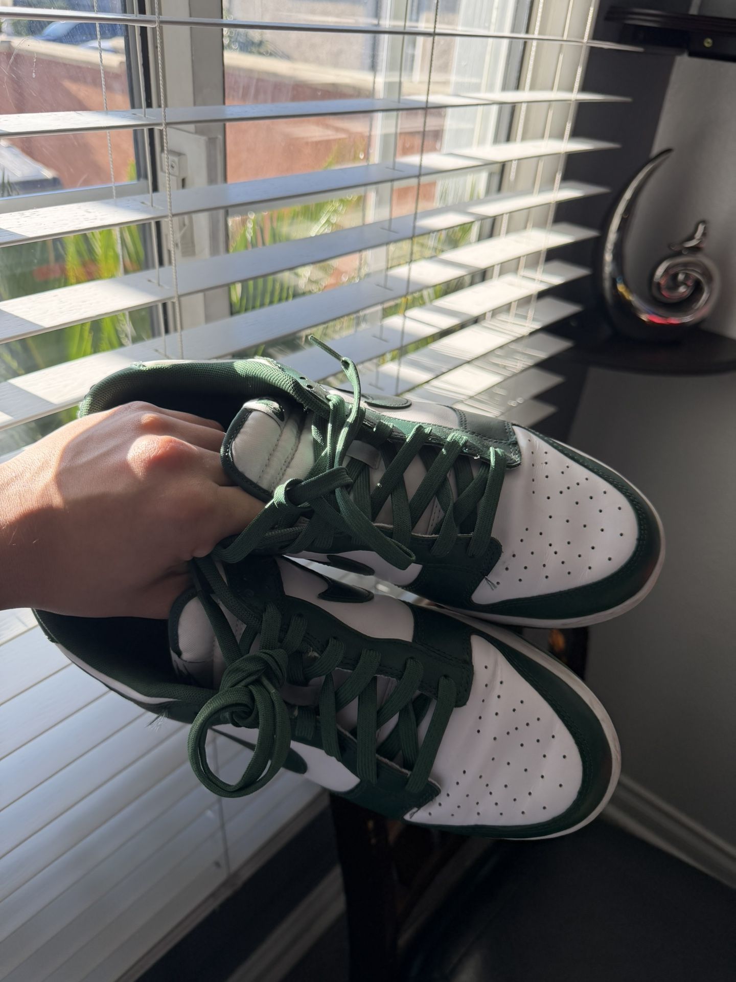 Spartan Dunk Size 10