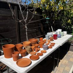 Various Plant Pots -$3 Each
