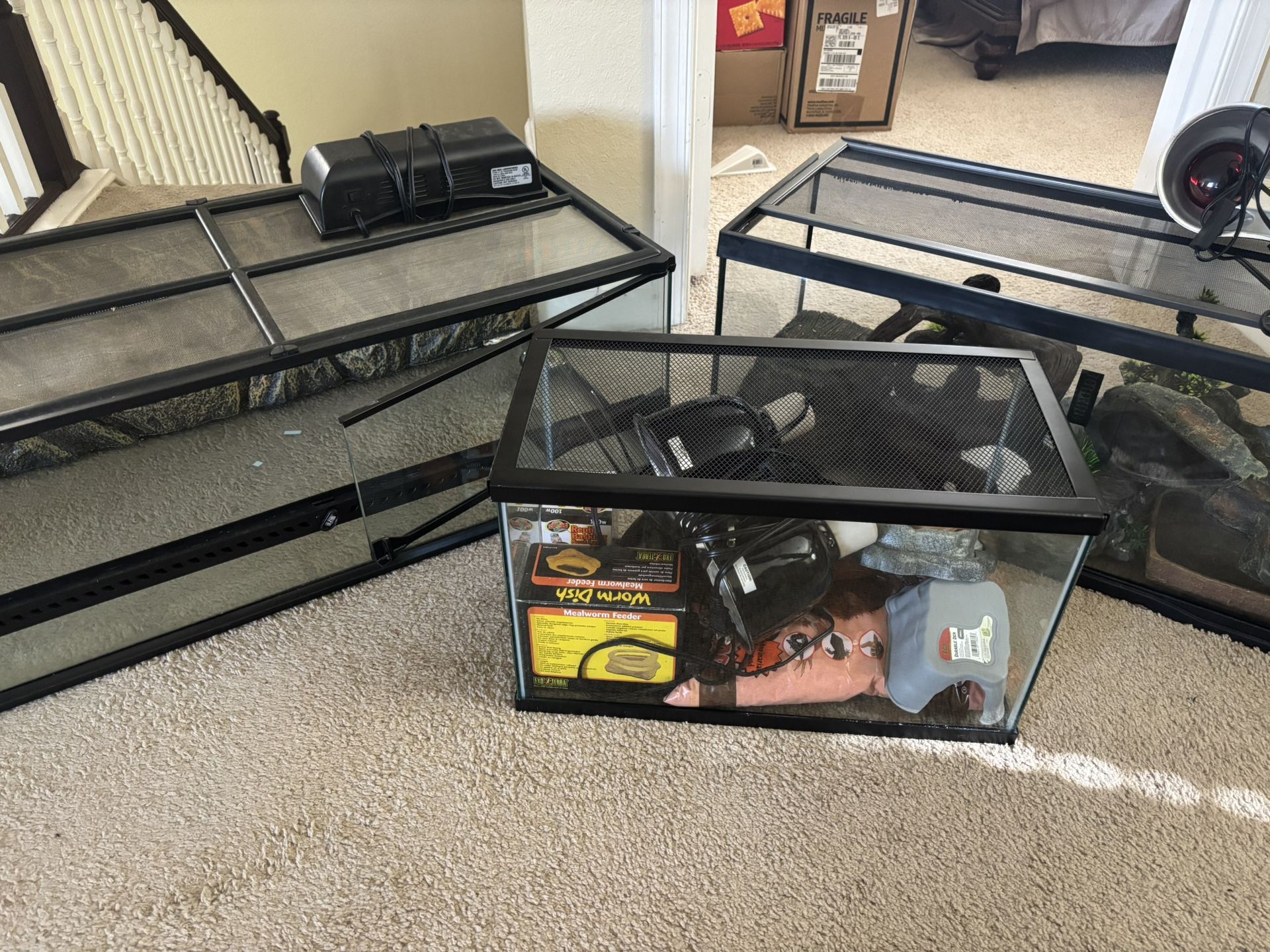 Reptile Habitat Tanks And Accessories