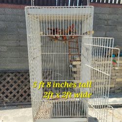 Large Bird Cage Metal