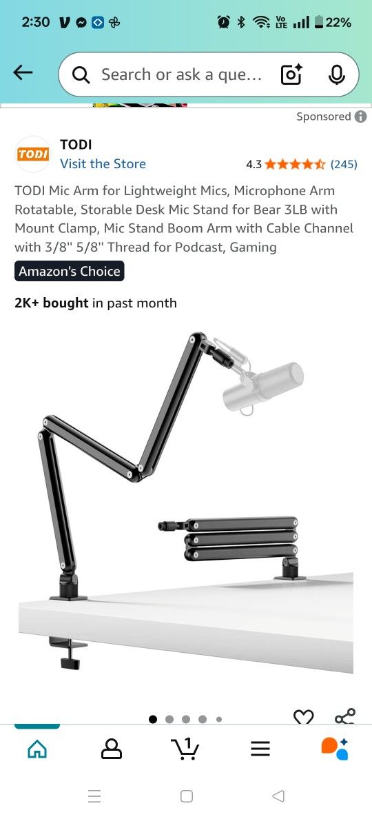 Mic Arm