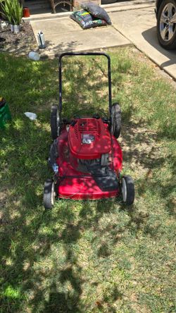 Toro