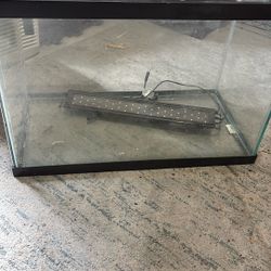 Fish Tank