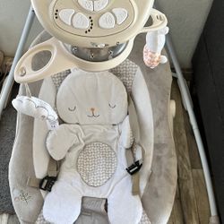 Baby Swing