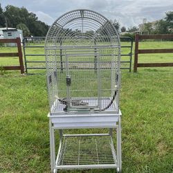 Bird Cage 