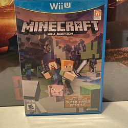 Wii U Minecraft Edition 