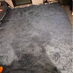 Blue Rug