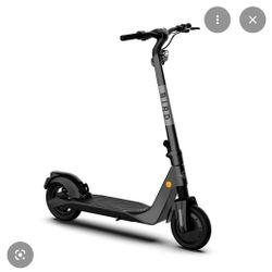 Bird Eletric Scooter 