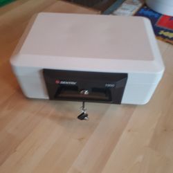 Sentry 1900 Safe box