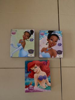 Disney Princess Puzzles (3)