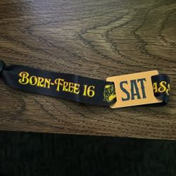 2025 born free Saturday grass pass