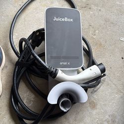 Juice Box Charger