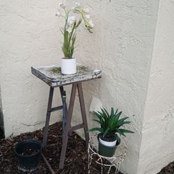 Fake Plant+ Plant Stand $5