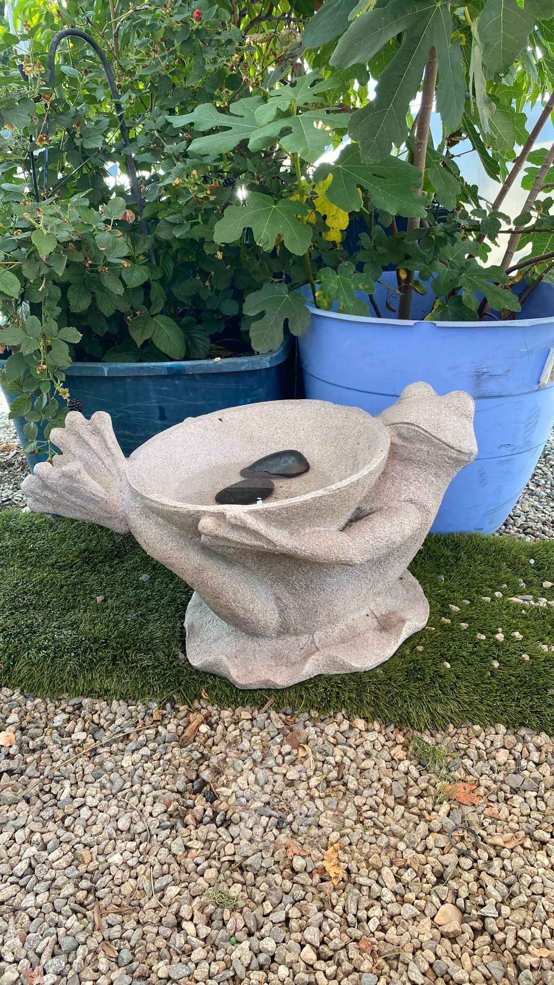 Yard items