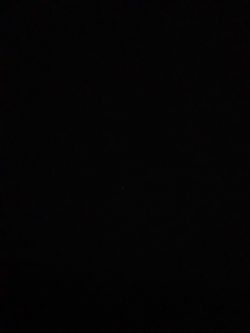 Rinnai Tankless Water Heater