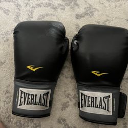 Everlast 16 Oz