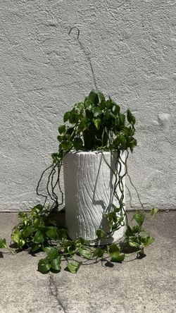Home Goods- Plant stand