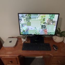Mac Mini 2023, Asus Monitor, Bluetooth Mouse, Keyboard