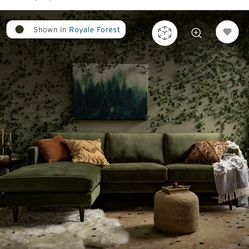 Midcentury green couch