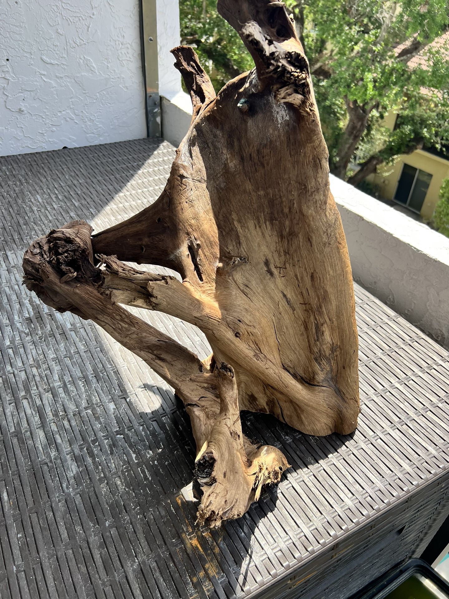 Extra Large Malaysian Driftwood Aquarium Fish Tank