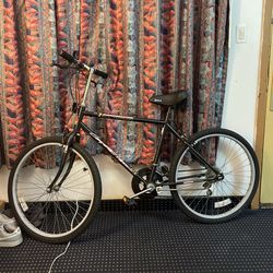 Roadmaster All Terrain Coyote Pass ATB