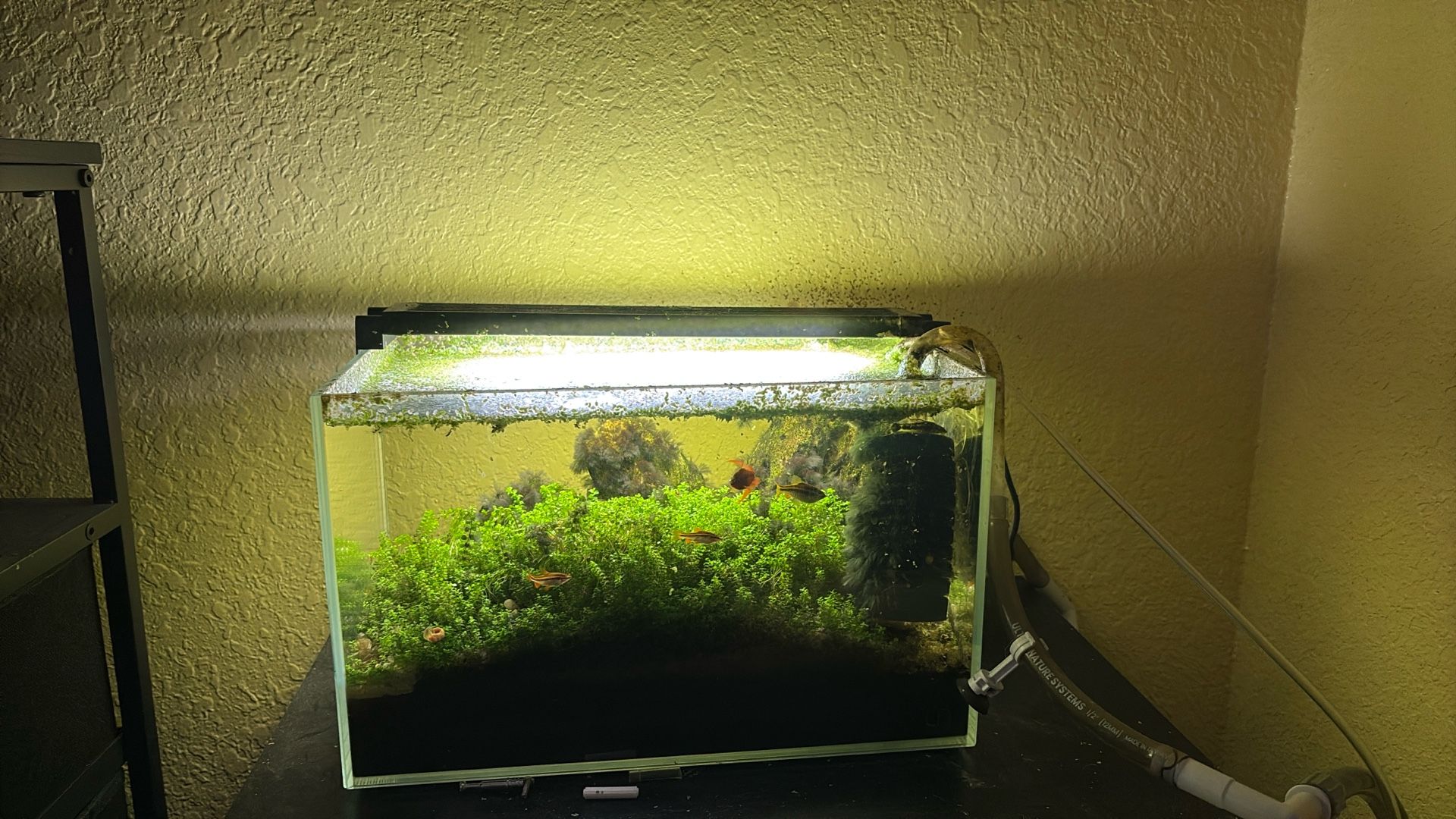 Uns 5g Aquarium