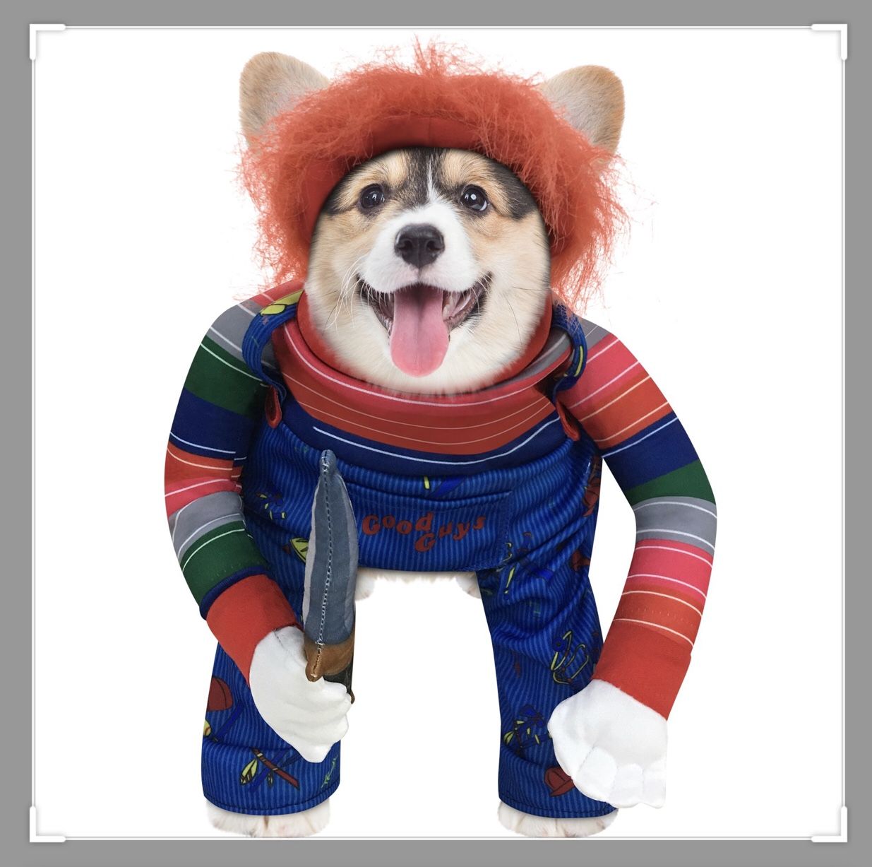 Dog chucky costume (Med)