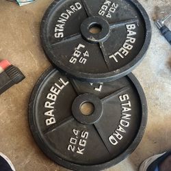 (2) 45 Lbs Plates 