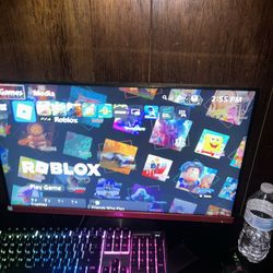 Acer 23.8” Monitor 