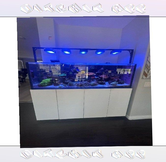 High-Quality Aquarium System - Premium Standard Choice floor any