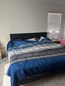 Bed Frames Everything must Go ! Moving Sale