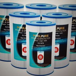 Poolpure Pool & Spa Filters Type B PLF-INTB