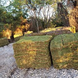 Grass Sod For Sale