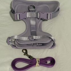 Smaller Dog Harness- Periwinkle 