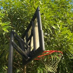 Basketball Hoop 