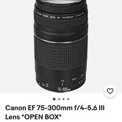 Canon 75-300mm Ultrasonic Lens