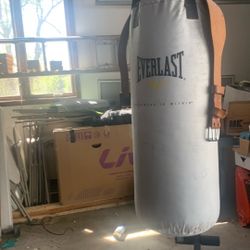 Punching Bag 