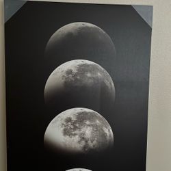 Moon Canvas 