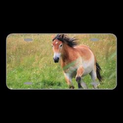 License Plate Novelty Car Front Painting Oil Painting Photo Painting