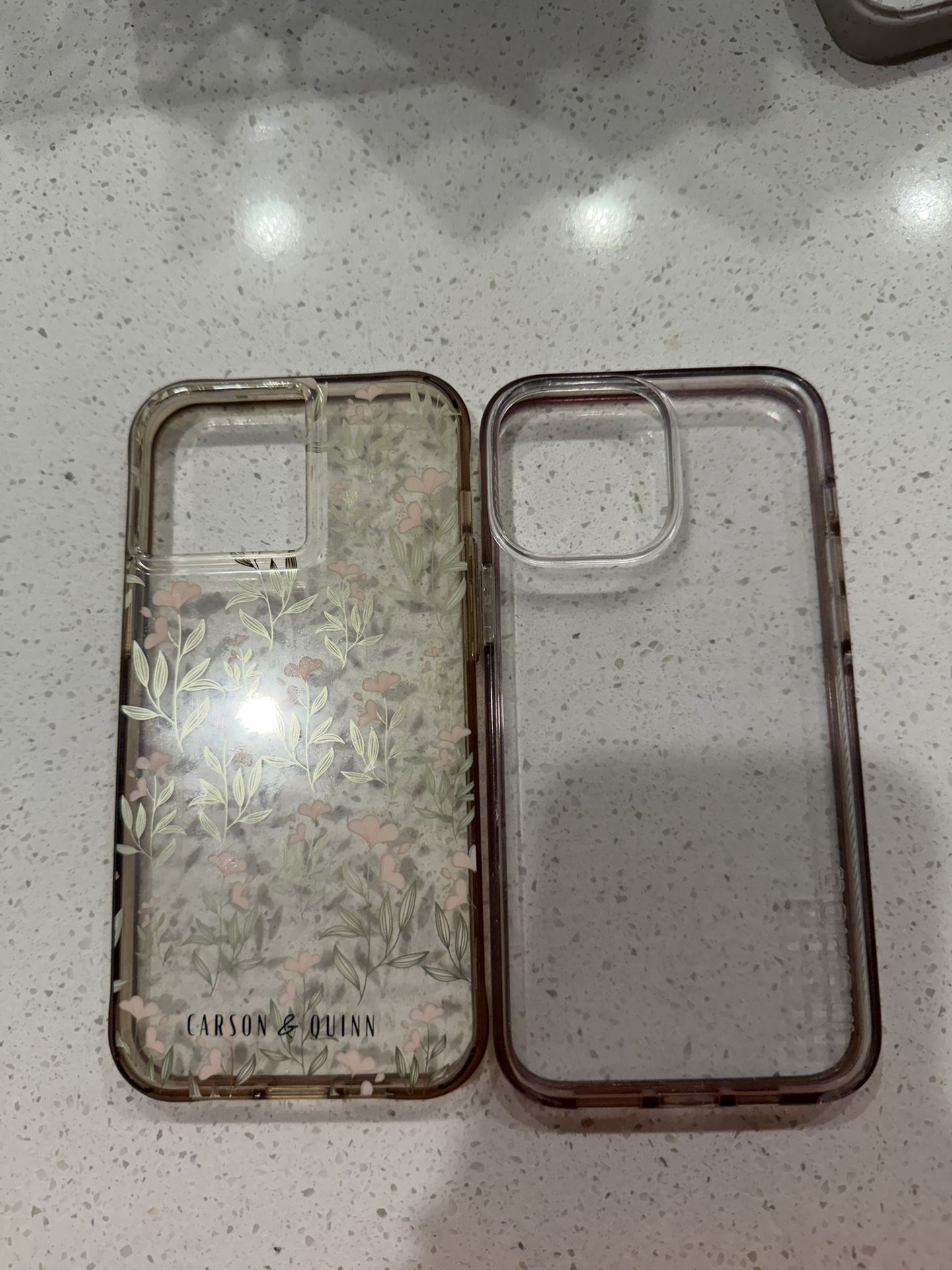 iPhone 13 Pro Max Phone Case