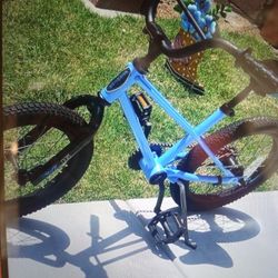 Schwinn 