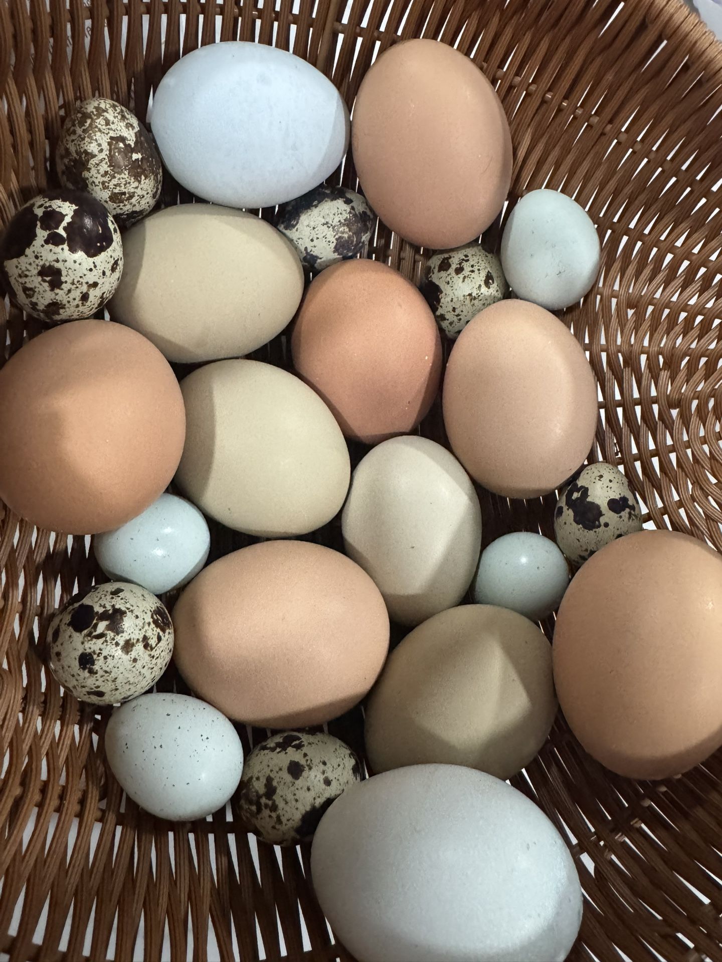 Organic Chicken And Quail Eggs