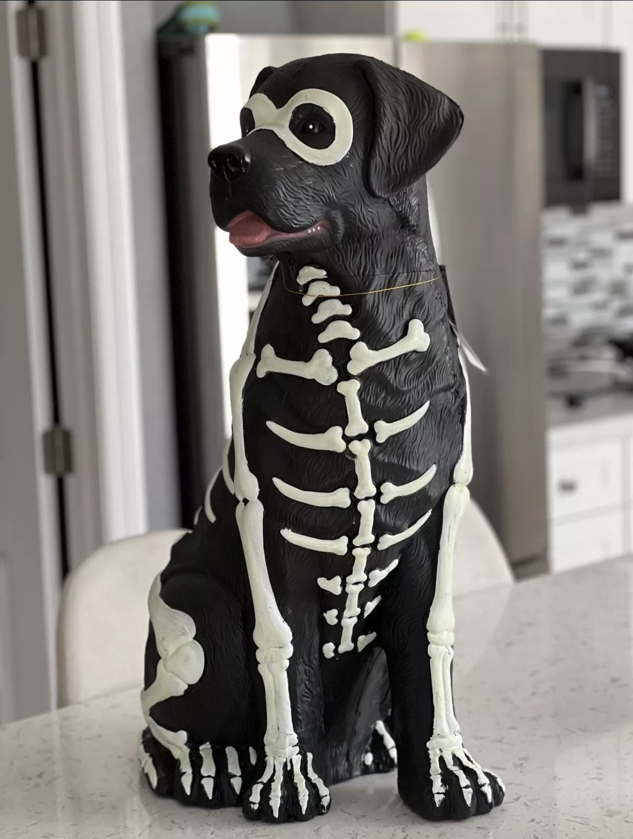 Black Lab Halloween Dog Blow Mold 2024 Home Depot Labrador 2.5 Ft Glow in Dark